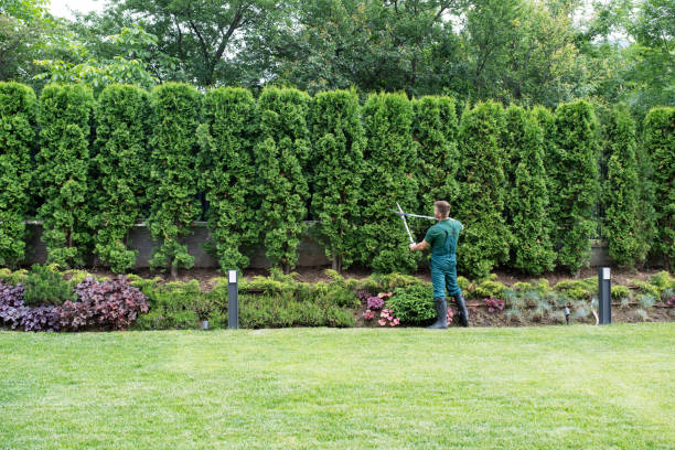 Best Seasonal Cleanup (Spring/Fall)  in Cliffside Park, NJ